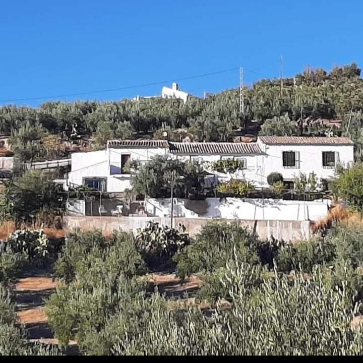 Cortijo El Cerro Apartment Alcaudete Bagian luar foto